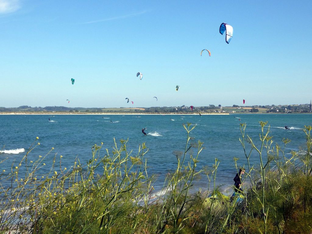Les Dunes