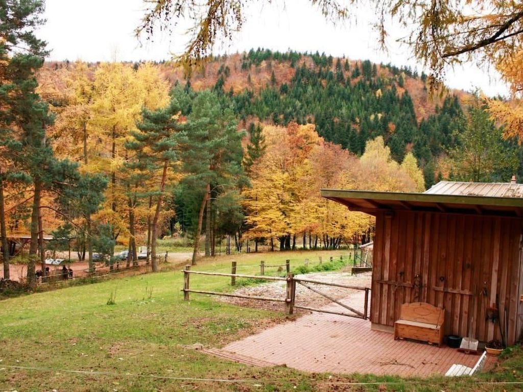 in Walscheid mit Terrasse, Grill