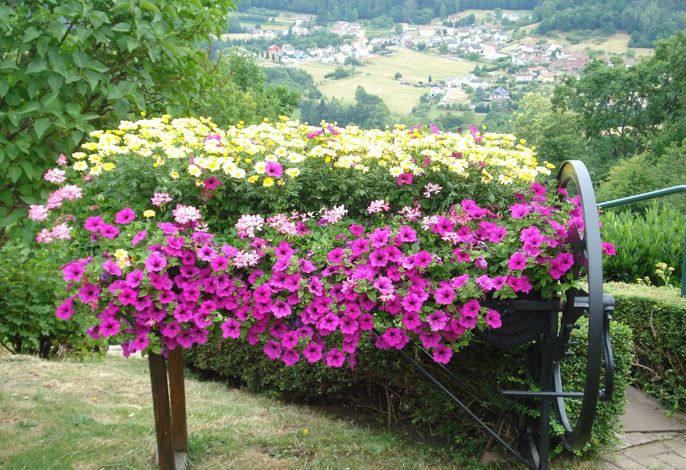 Bild 10