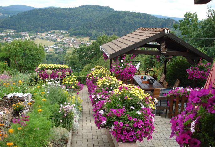 Bild 11