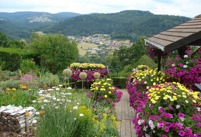 Bild 9