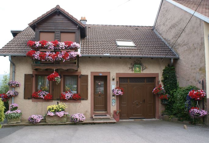Hauptbild
