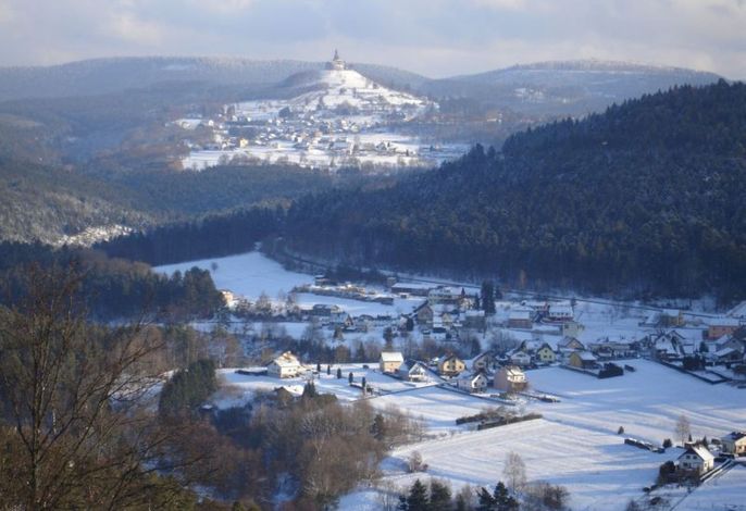 Bild 7