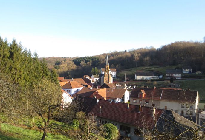 Bild 8