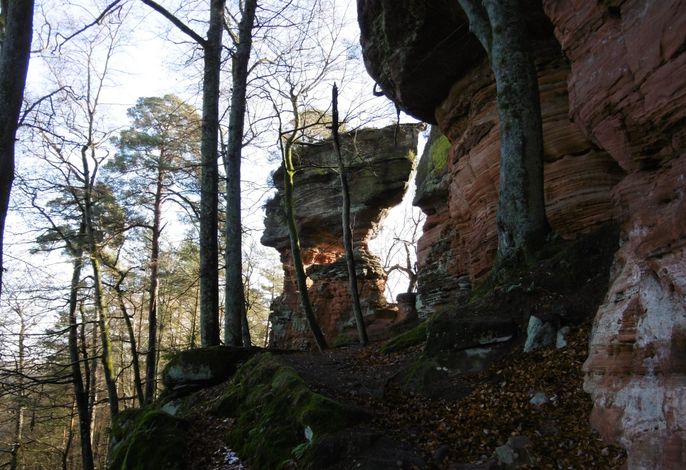 Bild 16