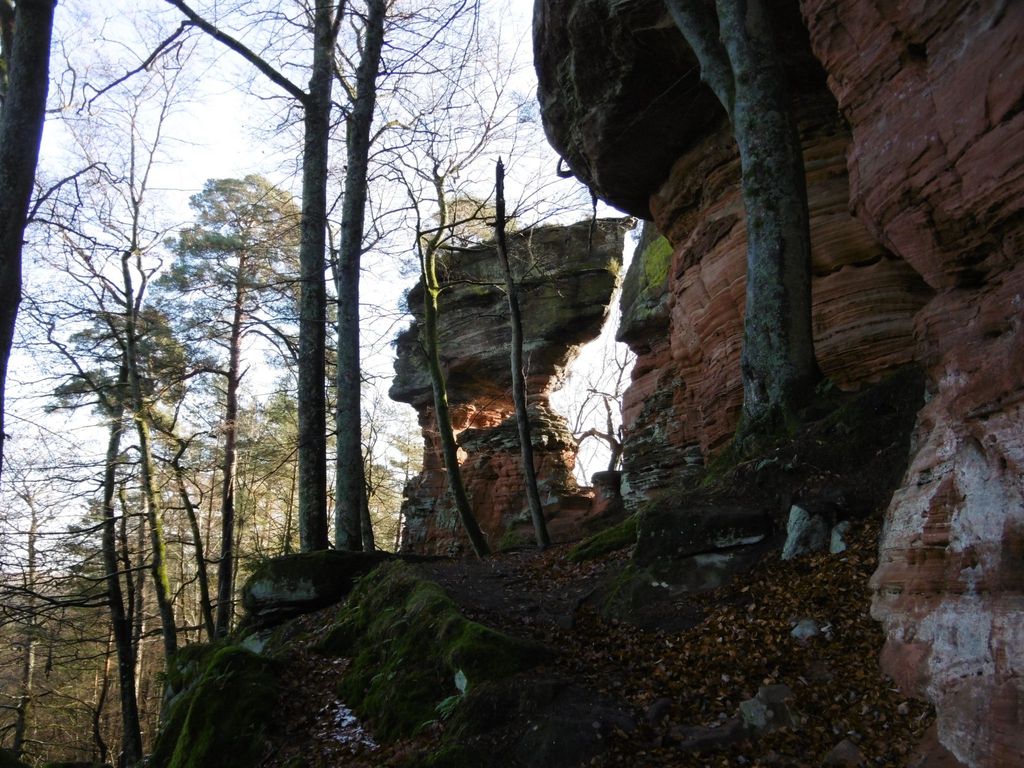 LES BRIMBELLES