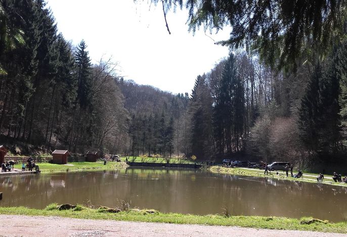 Bild 9