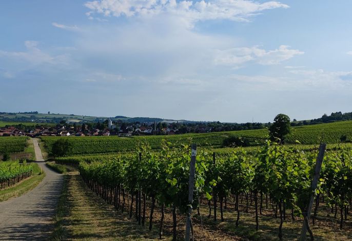 Bild 18