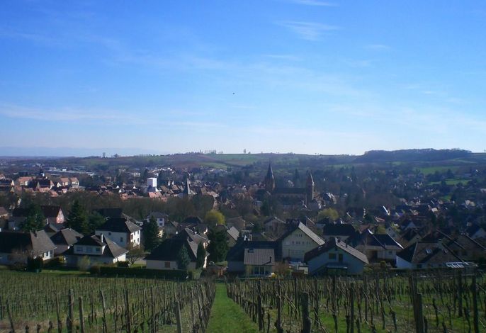 Bild 29