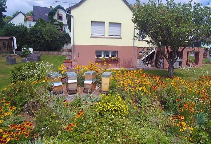 Bild 11