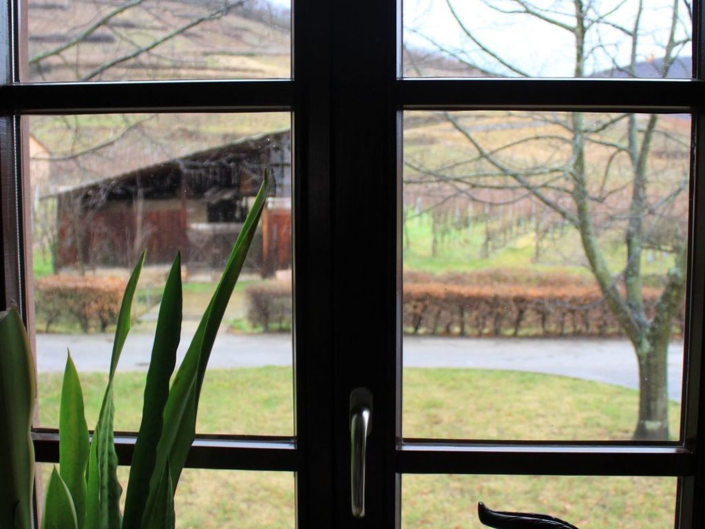 1ed-Face Vosges,au Sud,coeur Vignoble,Calme,WiFi