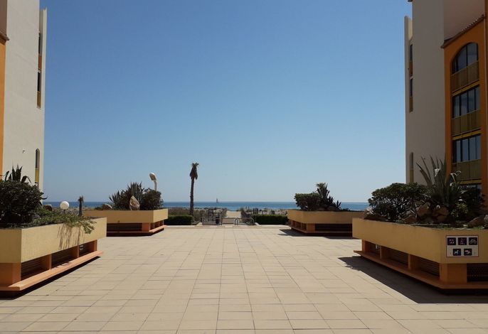 Palm Beach – Foto 5