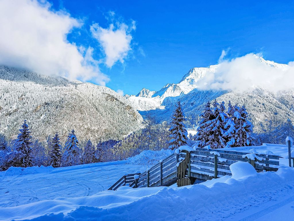 L'aiguille noire