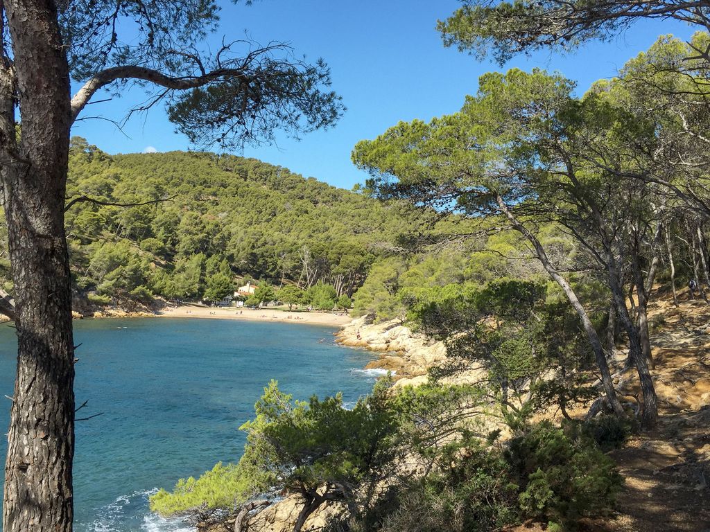 La Cigale