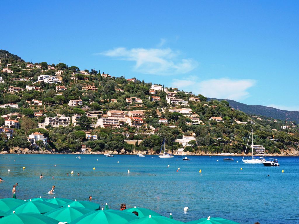 L'Alicastre