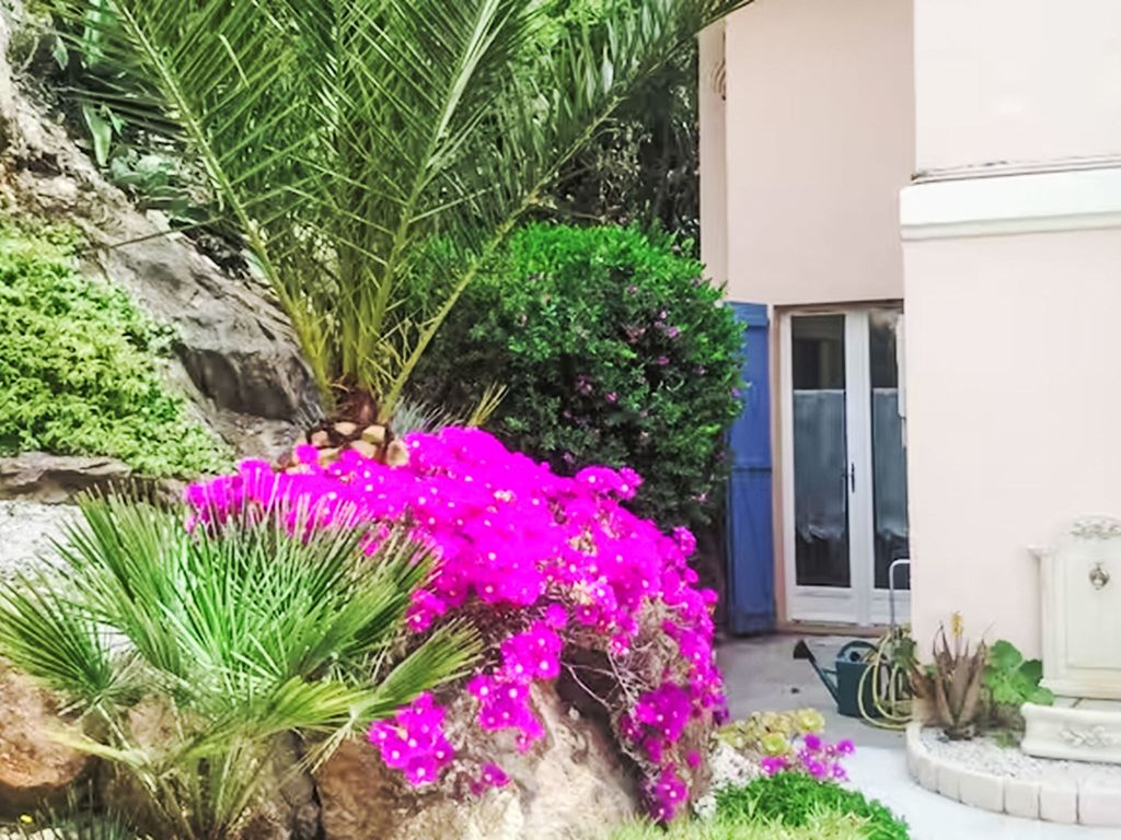 Les Agaves