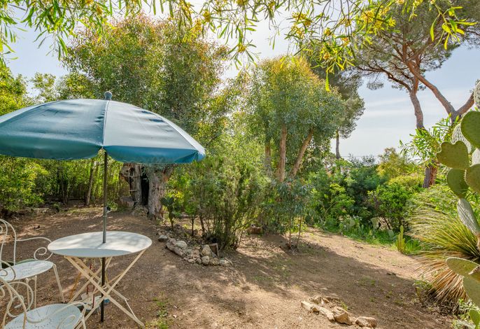 Bild 15