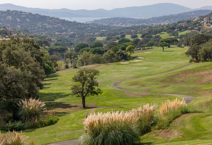 Bild 19