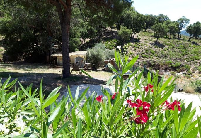 Bild 10