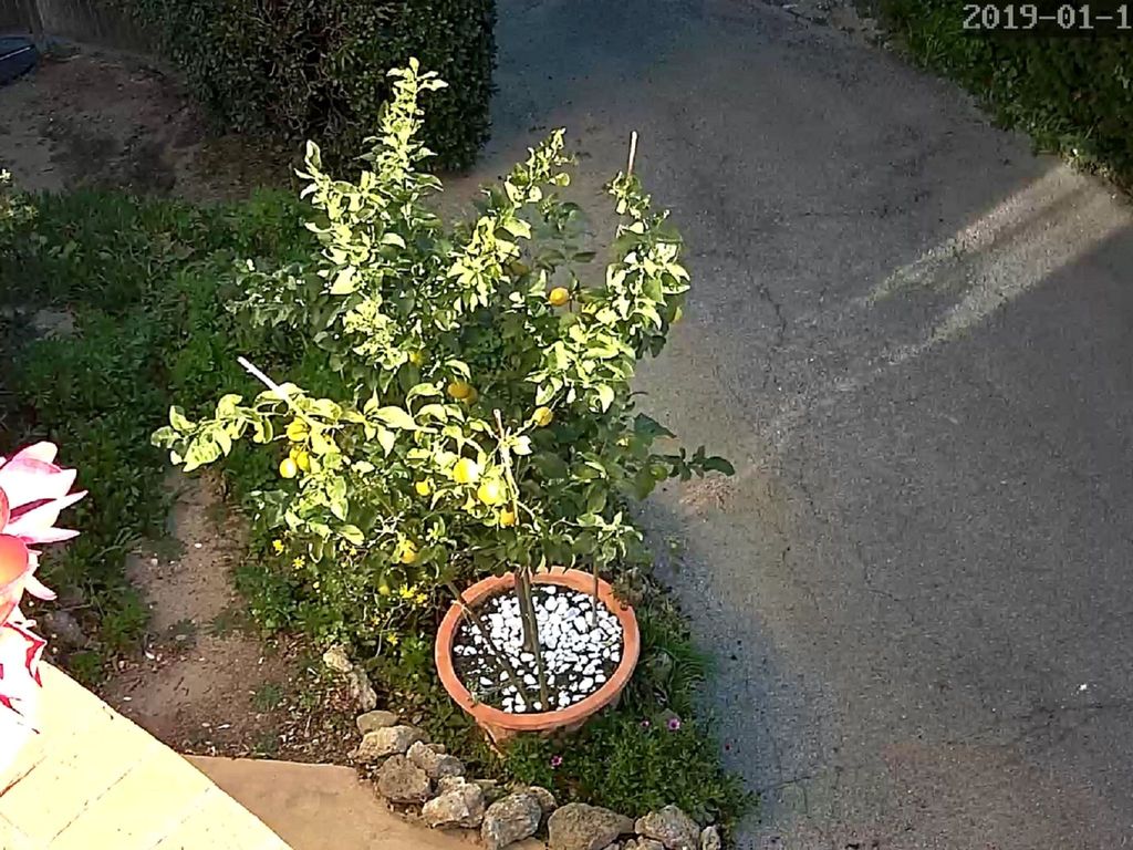 Erdgeschoss der Villa du Pébrier Côte d'Azur Saint Aygulf