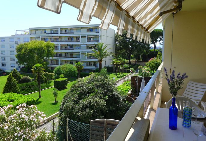 Le Vega – Foto 2