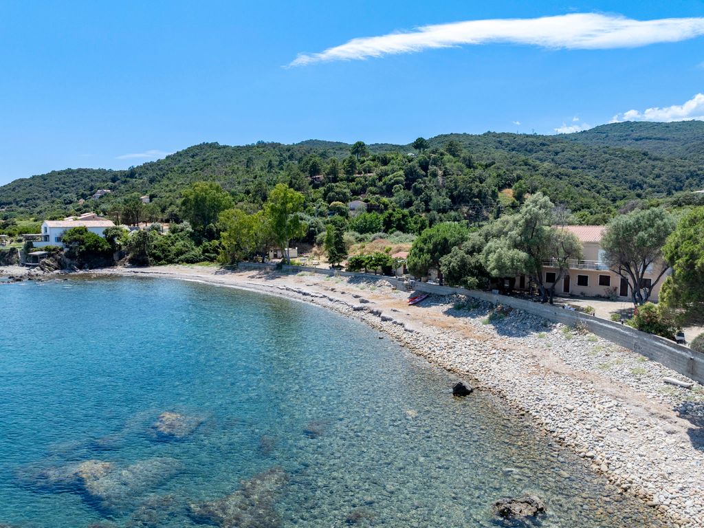 Ciriola