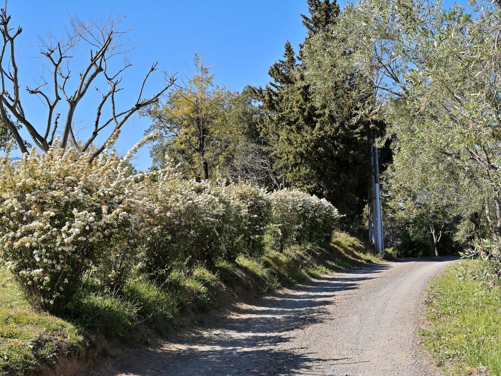 Weingut Punta della guardia zwischen Meer und Gebirge