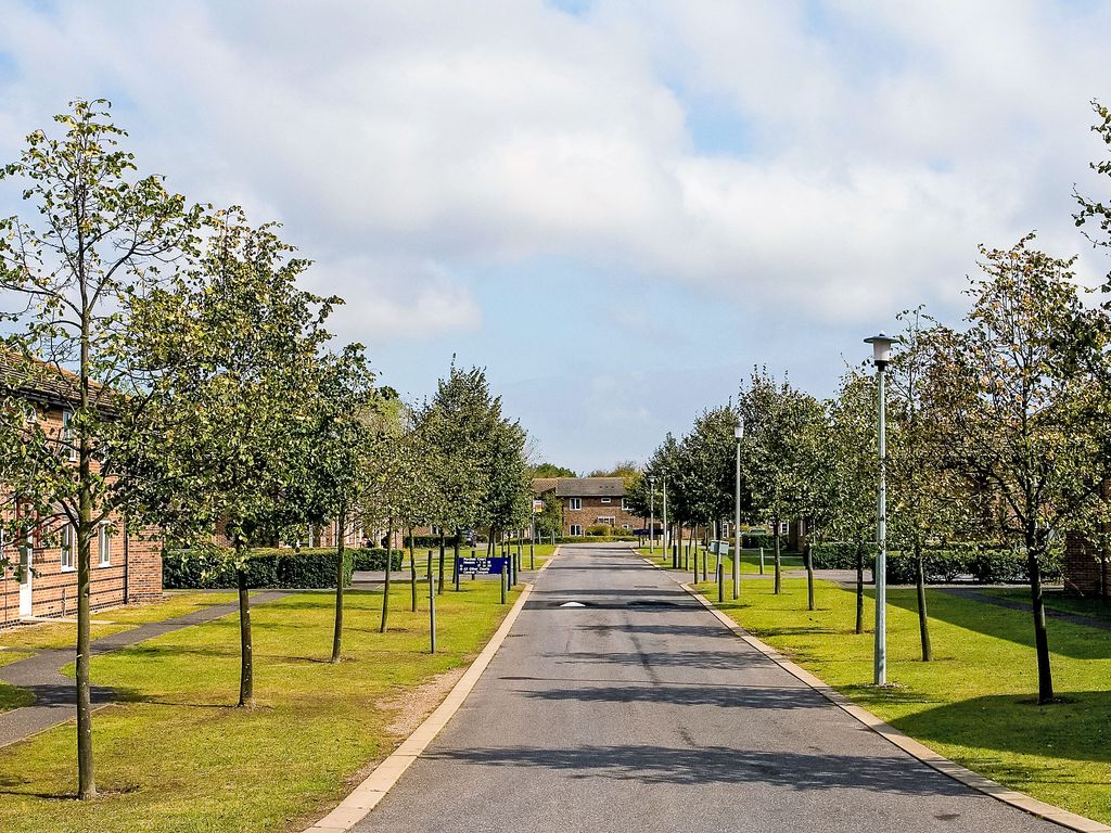 University Campus Park Wood