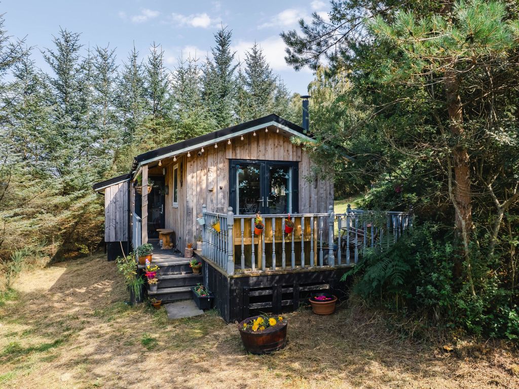 The Secluded Cabin