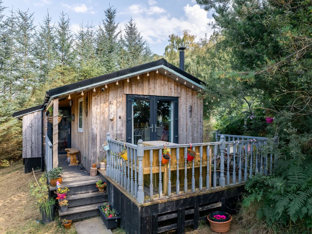 The Secluded Cabin