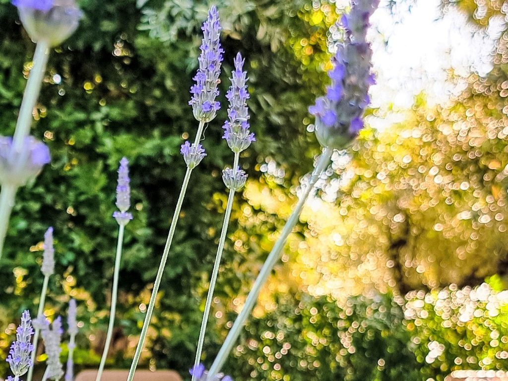 Ferienunterkunft "Villa Agape Pelion"