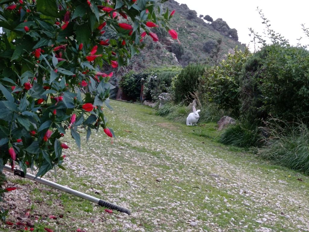 für 8 Personen in Agia Pelagia, Kreta