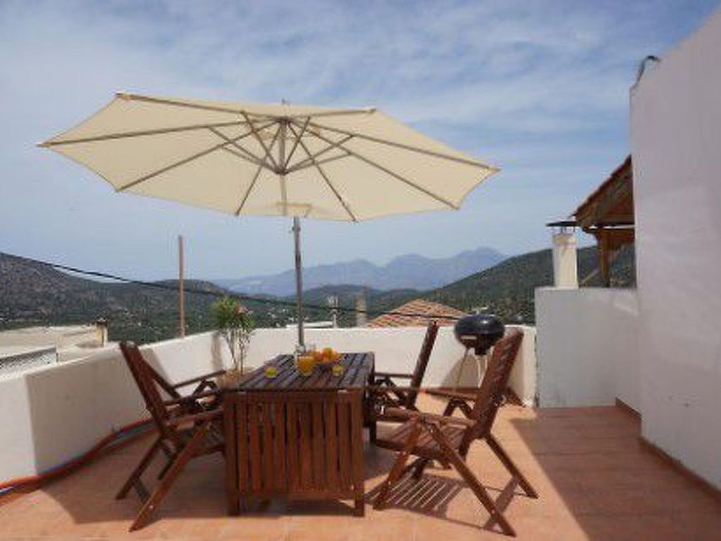 Oleander