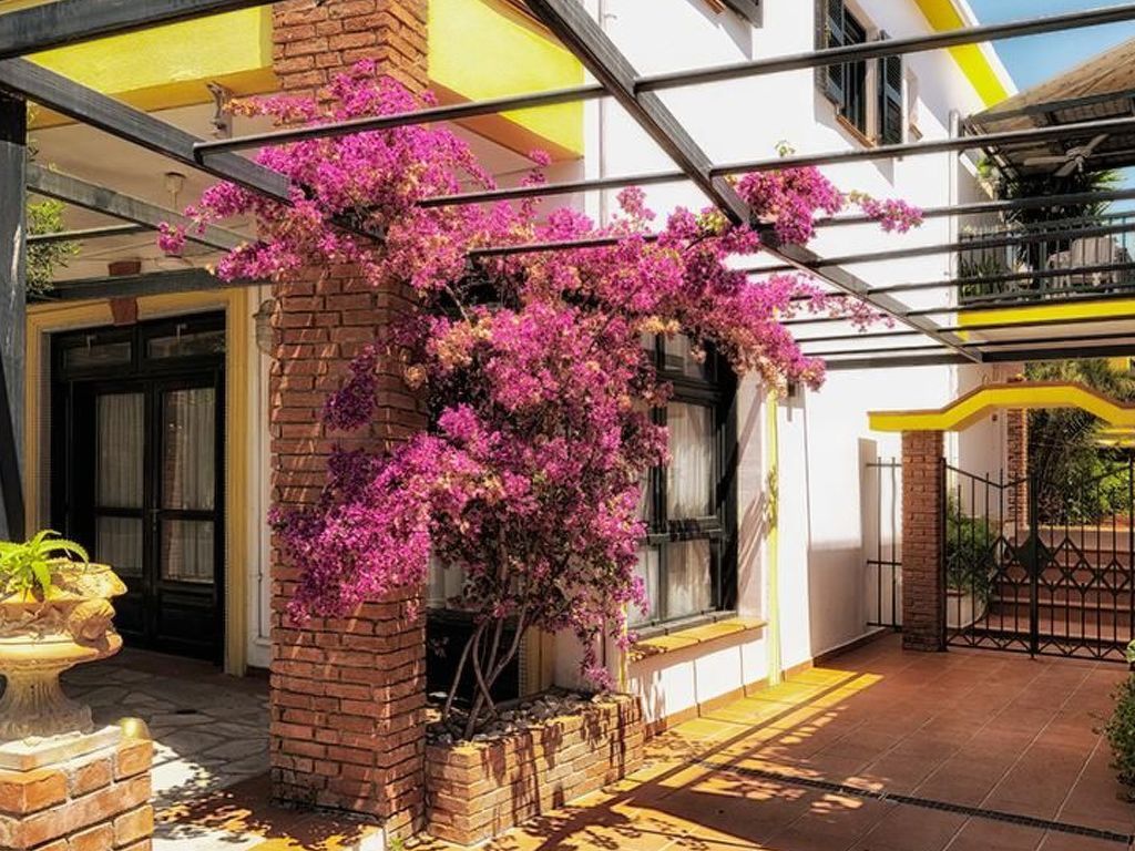 Elia Apartments Afytos-Maisonette