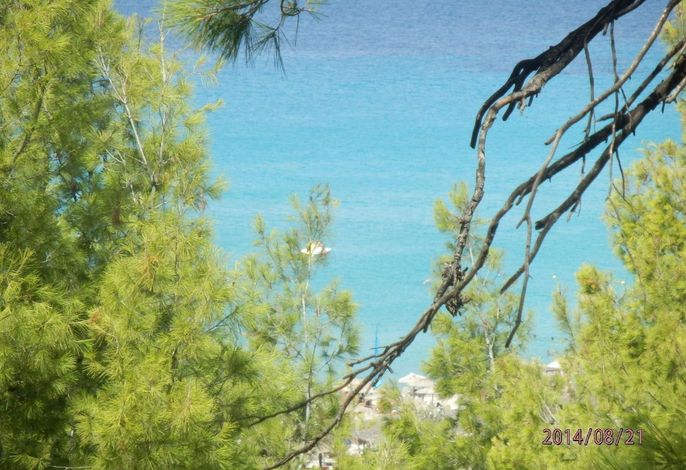 Bild 12