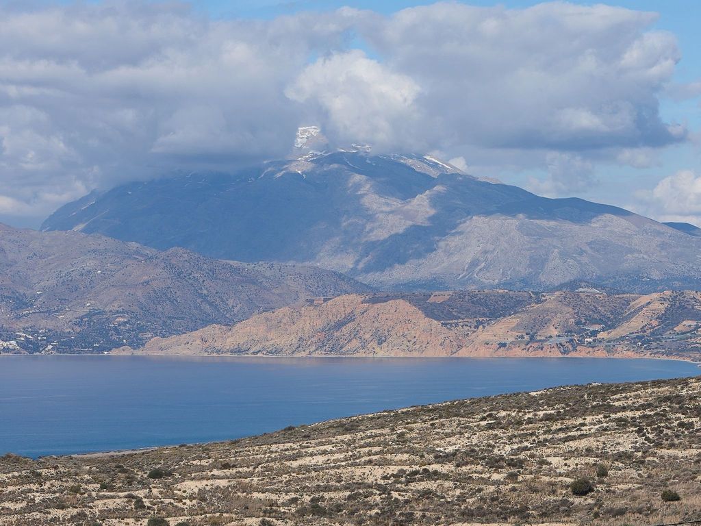 Orelia Cretan
