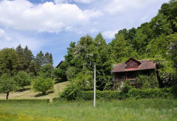 Bild 8