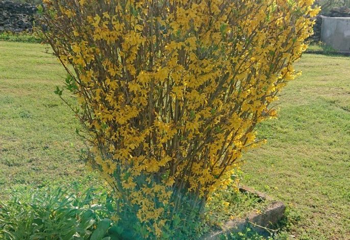 Bild 19