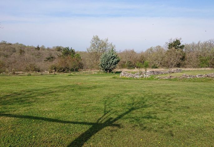 Bild 14