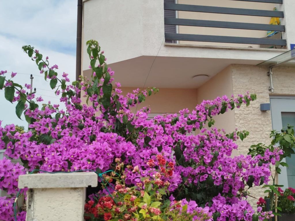 Apartment Smokvica