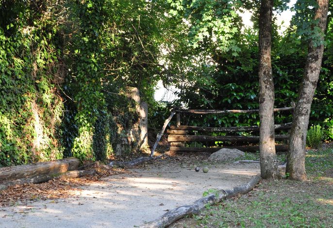Bild 50