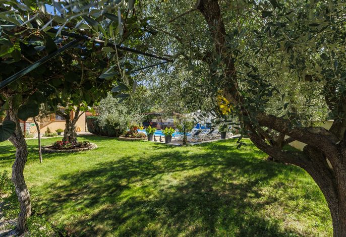 Bild 17