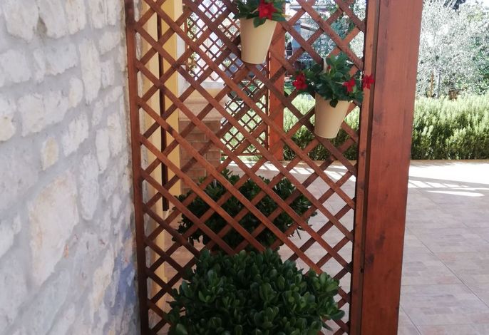 Bild 12