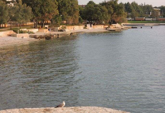 Bild 12
