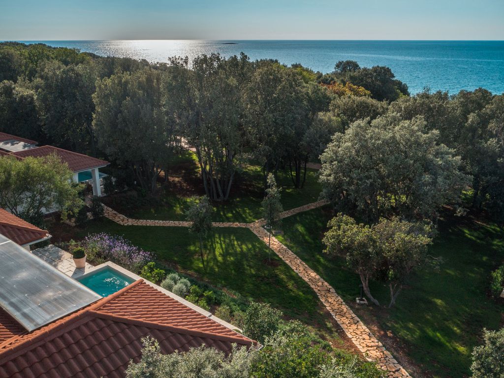 Luxury Beachside Villa Porto Bus