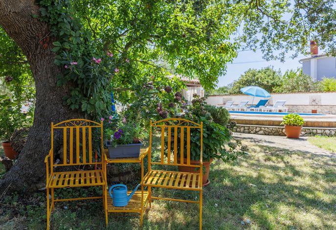 Bild 19
