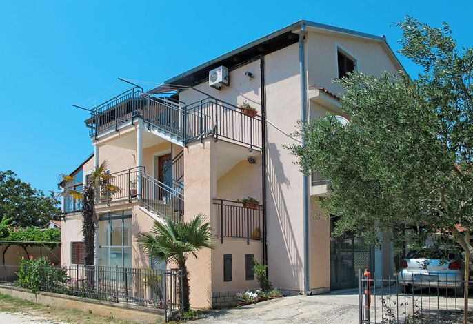 Ruža 1