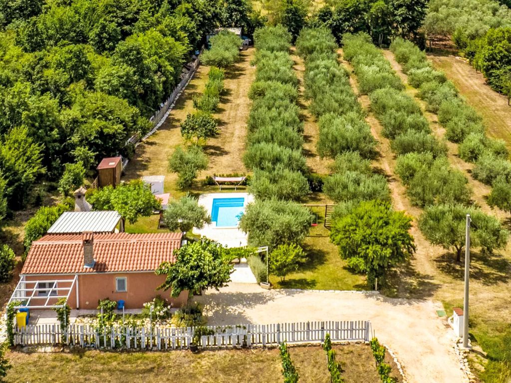 Oliveto