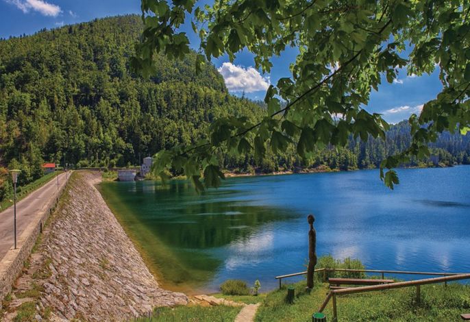 Bild 36