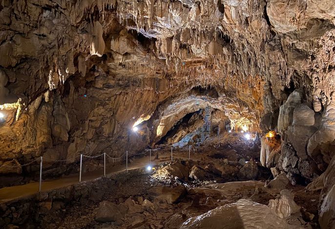 Bild 16